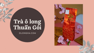 trà ô lông thuần gói